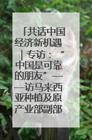 共话中国经济新机遇｜专访：“中国是可靠的朋友”——访马来西亚种植及原产业部副部长陈泓缣