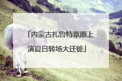 内蒙古扎鲁特草原上演夏日转场大迁徙