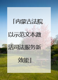内蒙古法院以示范文本激活司法服务新效能