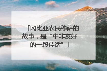 冈比亚农民穆萨的故事，是“中非友好的一段佳话”