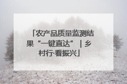 农产品质量监测结果“一键直达”｜乡村行·看振兴
