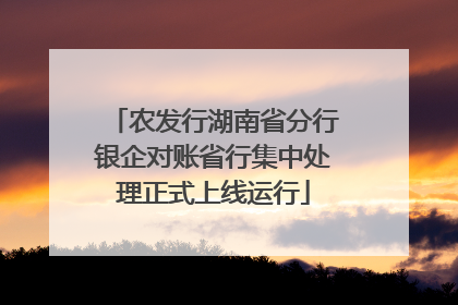 农发行湖南省分行银企对账省行集中处理正式上线运行