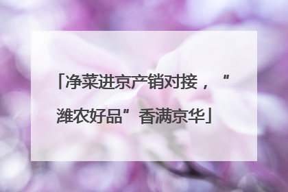 净菜进京产销对接，“潍农好品”香满京华