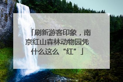 刷新游客印象，南京红山森林动物园凭什么这么“红”
