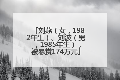 刘燕（女，1982年生）、刘波（男，1985年生），被悬赏174万元