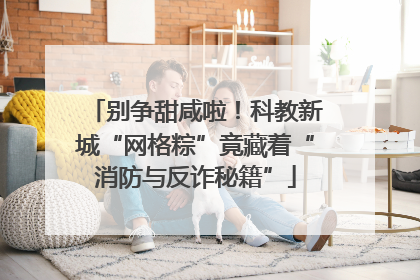 别争甜咸啦！科教新城“网格粽”竟藏着“消防与反诈秘籍”