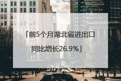 前5个月湖北省进出口同比增长26.9%
