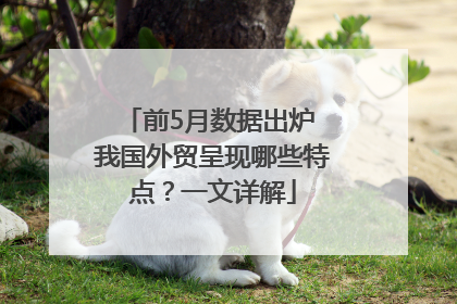 前5月数据出炉 我国外贸呈现哪些特点？一文详解