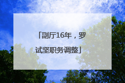 副厅16年，罗试坚职务调整