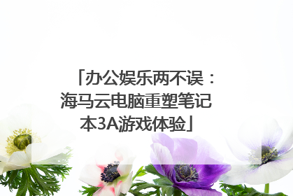 办公娱乐两不误：海马云电脑重塑笔记本3A游戏体验