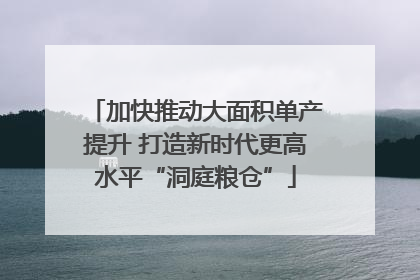 加快推动大面积单产提升 打造新时代更高水平“洞庭粮仓”