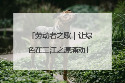 劳动者之歌｜让绿色在三江之源涌动