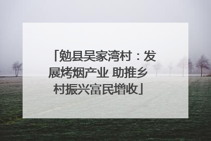 勉县吴家湾村：发展烤烟产业 助推乡村振兴富民增收
