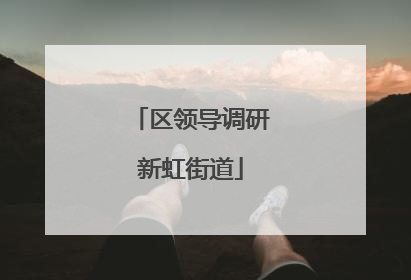 区领导调研新虹街道