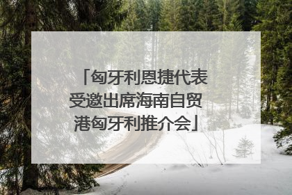 匈牙利恩捷代表受邀出席海南自贸港匈牙利推介会