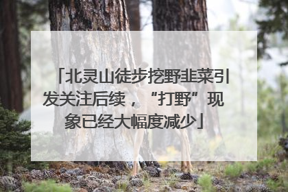 北灵山徒步挖野韭菜引发关注后续，“打野”现象已经大幅度减少