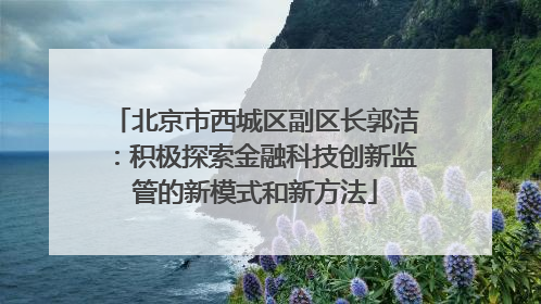 北京市西城区副区长郭洁：积极探索金融科技创新监管的新模式和新方法