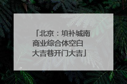 北京：填补城南商业综合体空白 大吉巷开门大吉