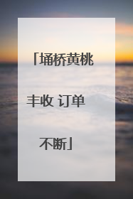 埇桥黄桃丰收 订单不断