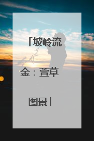 坡岭流金：萱草图景