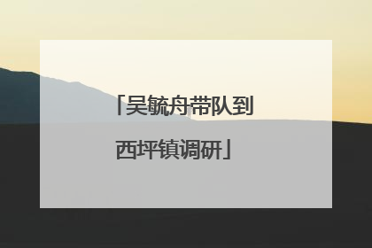吴毓舟带队到西坪镇调研