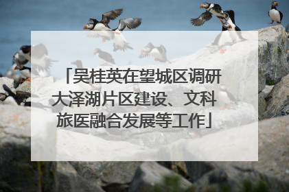 吴桂英在望城区调研大泽湖片区建设、文科旅医融合发展等工作