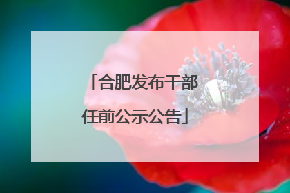 合肥发布干部任前公示公告