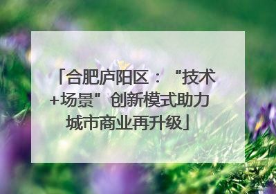 合肥庐阳区：“技术+场景”创新模式助力城市商业再升级