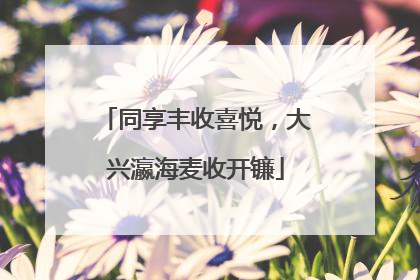 同享丰收喜悦，大兴瀛海麦收开镰