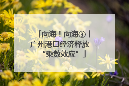 向海！向海③丨广州港口经济释放“乘数效应”