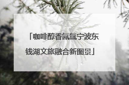 咖啡醇香氤氲宁波东钱湖文旅融合新图景