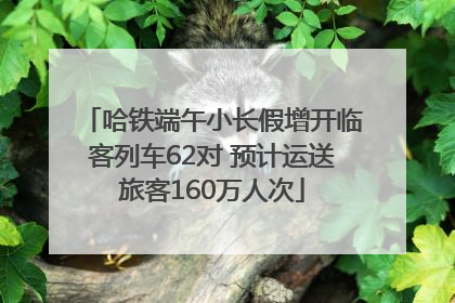 哈铁端午小长假增开临客列车62对 预计运送旅客160万人次