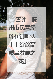 善评｜滕州市民营经济在创新沃土上绽放高质量发展之花
