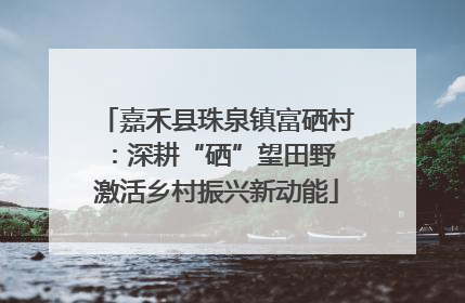 嘉禾县珠泉镇富硒村：深耕“硒”望田野 激活乡村振兴新动能