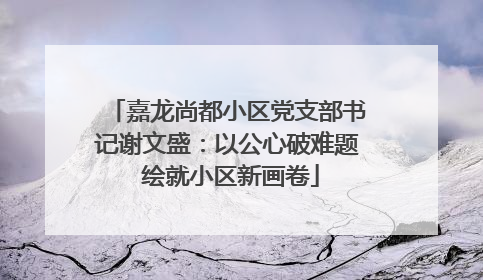 嘉龙尚都小区党支部书记谢文盛：以公心破难题 绘就小区新画卷