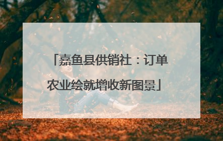 嘉鱼县供销社：订单农业绘就增收新图景