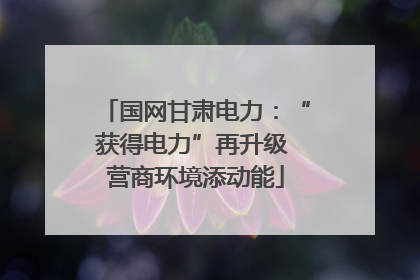 国网甘肃电力：“获得电力”再升级 营商环境添动能