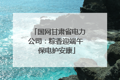 国网甘肃省电力公司：粽香迎端午 保电护安康