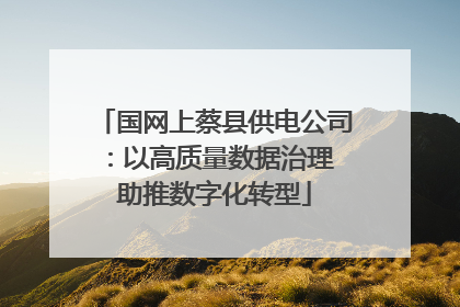 国网上蔡县供电公司：以高质量数据治理 助推数字化转型