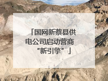 国网新蔡县供电公司启动营商“新引擎”