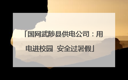 国网武陟县供电公司：用电进校园  安全过暑假