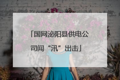 国网泌阳县供电公司闻“汛”出击