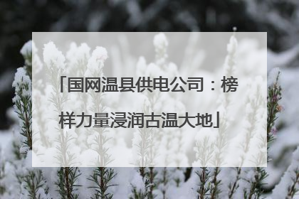 国网温县供电公司：榜样力量浸润古温大地