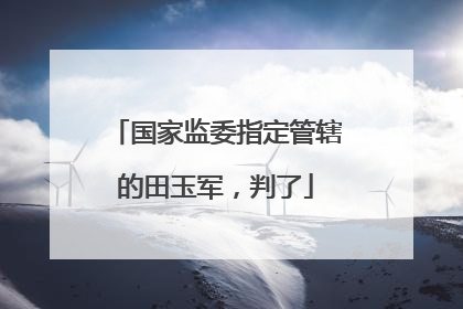 国家监委指定管辖的田玉军，判了