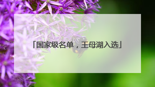 国家级名单，王母湖入选