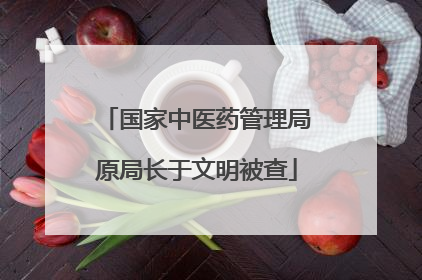 国家中医药管理局原局长于文明被查