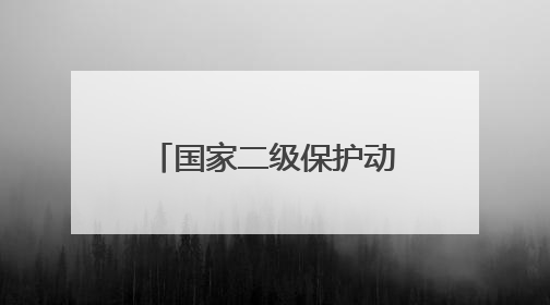 国家二级保护动物，在南昌获救