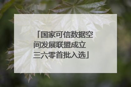 国家可信数据空间发展联盟成立 三六零首批入选