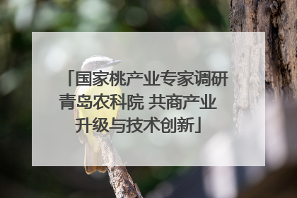国家桃产业专家调研青岛农科院 共商产业升级与技术创新
