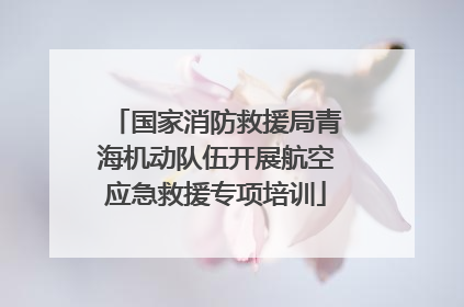国家消防救援局青海机动队伍开展航空应急救援专项培训